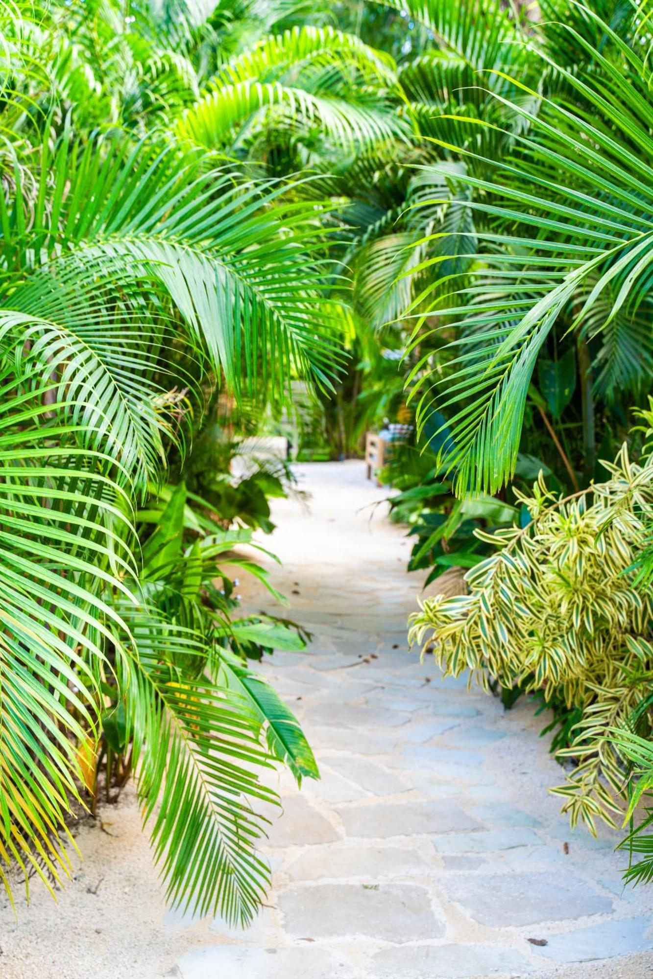 Norte Nosara - Steps To Playa Guiones Ngoại thất bức ảnh