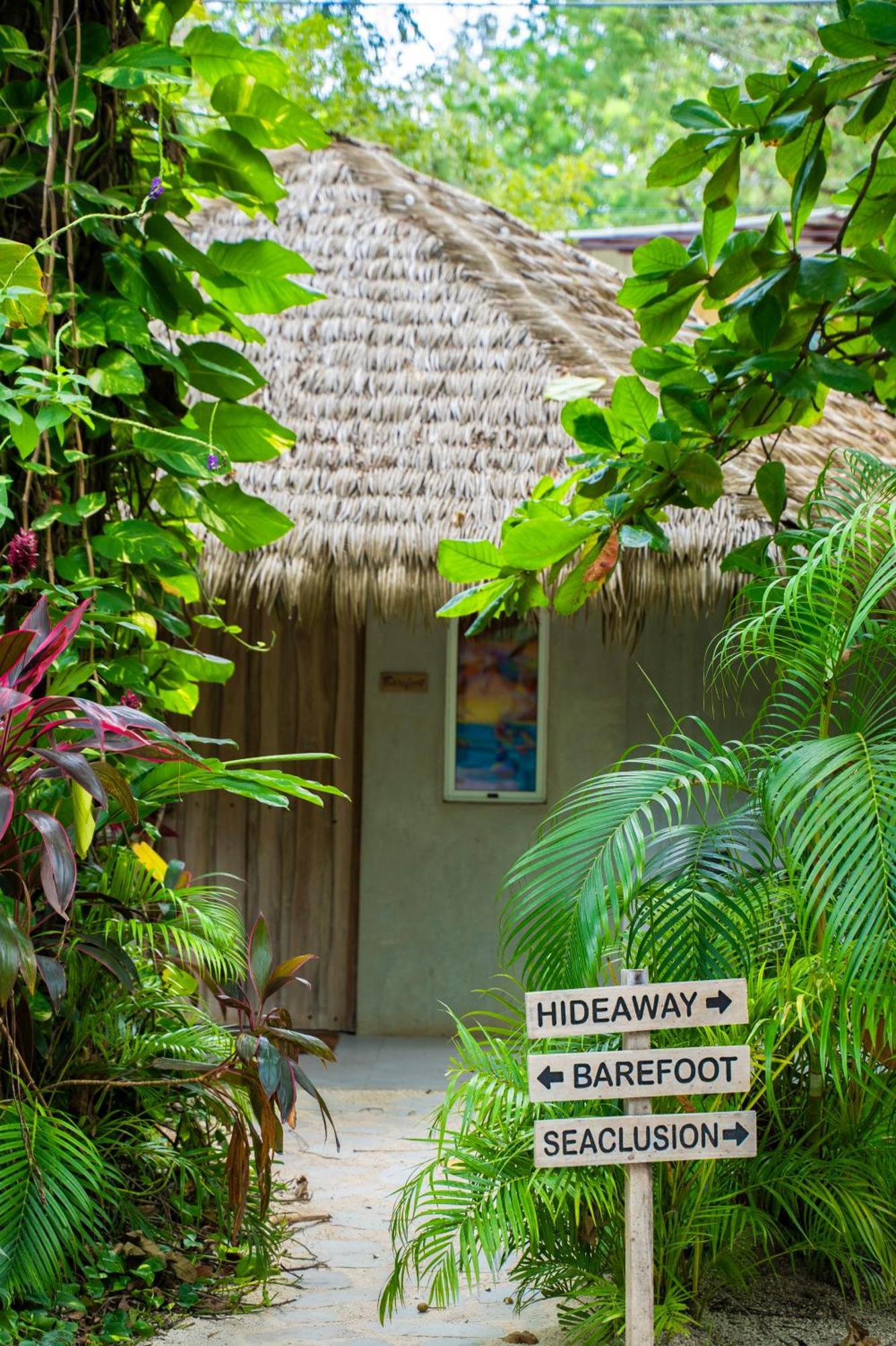 Norte Nosara - Steps To Playa Guiones Ngoại thất bức ảnh